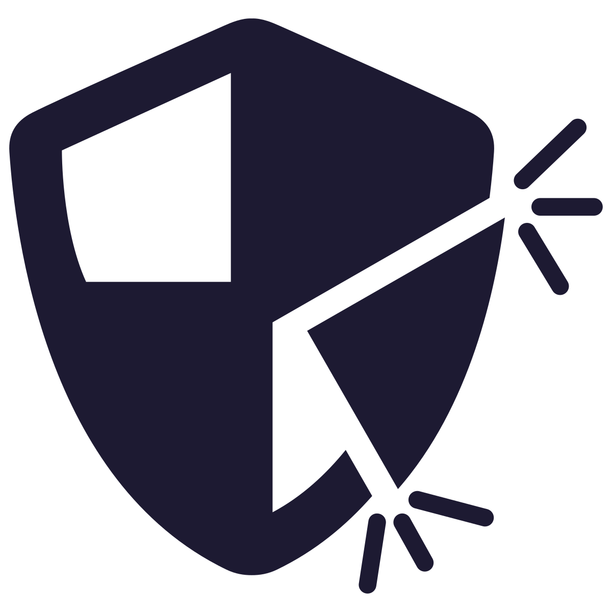 noun-security-gaps-3344493-1D1A32